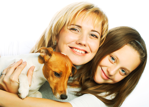 10 cachorro-ciumento-3