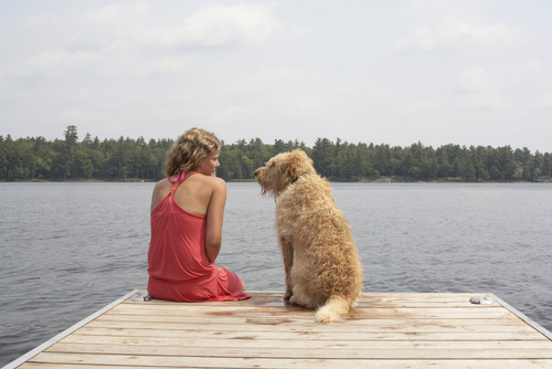 Comunicação telepática com cachorror