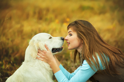 Podemos nos comunicar telepaticamente com os nossos cães? Podemos nos comunicar telepaticamente com os nossos cães?