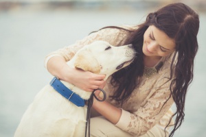 Tudo sobre epilepsia em cachorros