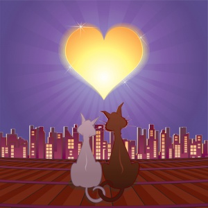 Os gatos e o sexo, a força da natureza