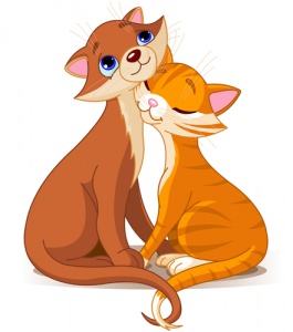 A reprodução e o cio nos gatos