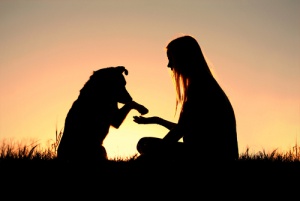 Coisas que você provavelmente não sabia sobre o seu cachorro