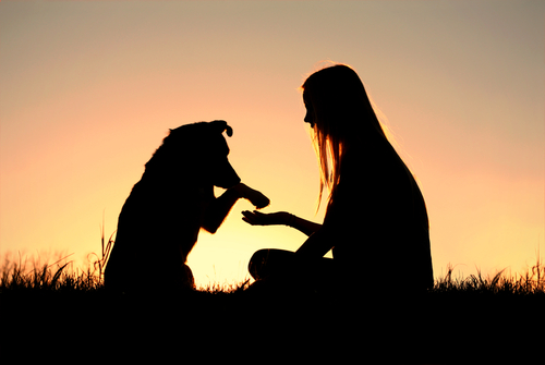 perro-y-humano