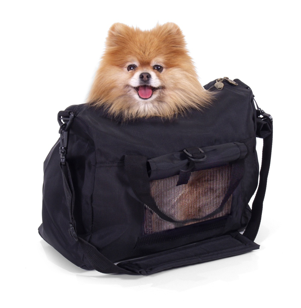 Utilizar o transporte público com os animais de estimação