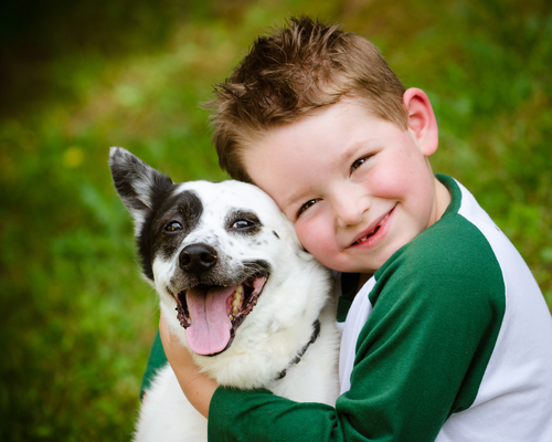 Como os cachorros ajudam crianças com autismo