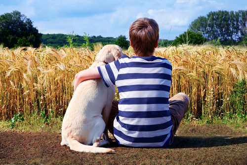 Como cachorros ajudam crianças autistas