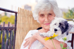 Benefícios dos animais de estimação para os idosos