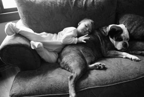 Desenvolvimento emocional para as crianças