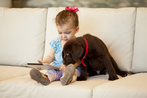 Crianças que crescem com cães desenvolvem maior responsabilidade e sensibilidade