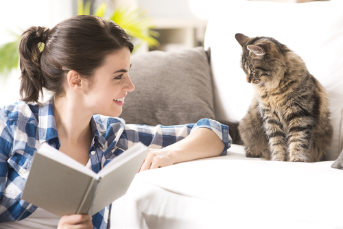 Os gatos preferem as vozes femininas Os gatos preferem as vozes femininas