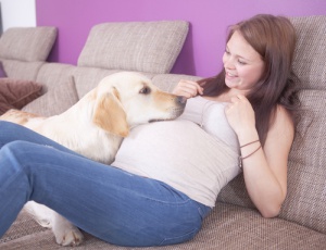 Você sabia que os cães regulam o sobrepeso de mulheres grávidas?