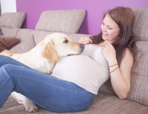 Você sabia que os cães regulam o sobrepeso de mulheres grávidas? Você sabia que os cães regulam o sobrepeso de mulheres grávidas?