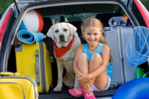 Como ensinar um cachorro a viajar de carro