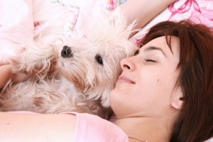 Prós e contras de dormir com animais de estimação