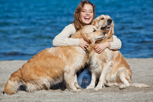 A felicidade ao lado dos cães