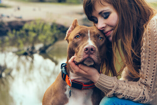 Amor: donos e seus cachorros Vs mães e seus filhos
