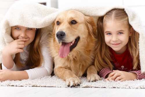 Cães para crianças: conheças as 10 melhores raças