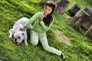 Cães e crianças: Cão resgata menina de três anos