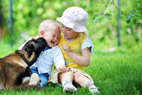 cachorro e crianças