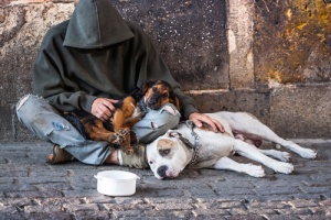 Fidelidade a prova nos piores momentos:mendigos com seus cães
