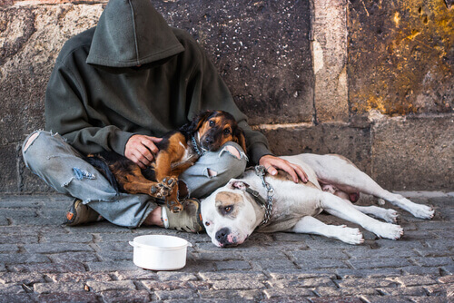 Fidelidade a prova nos piores momentos:mendigos com seus cães Fidelidade a prova nos piores momentos:mendigos com seus cães
