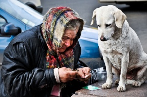 Cães e mendigos: Um problema nas grandes cidades