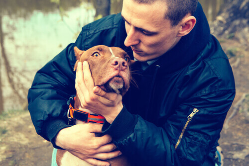 Pitbull salva a vida do dono que teve um ataque cardíaco