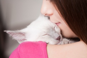 Descubra se você é ligeiramente um amante dos gatos ou um gato-dependente