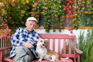 O uso de cães em terapia para idosos
