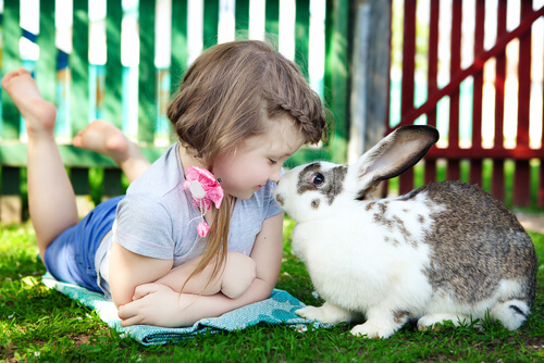 Criança com coelho