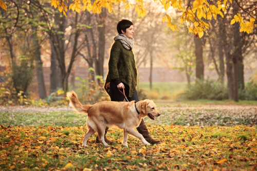 Dona passeando com cachorro