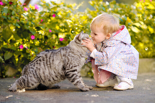 Cinco lições que as crianças podem aprender com os gatos Cinco lições que as crianças podem aprender com os gatos
