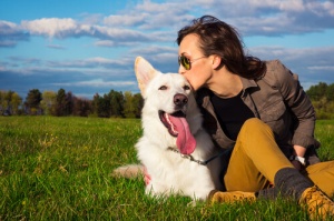 O que a raça do seu cão diz sobre sua personalidade?
