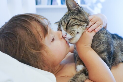 Criança beijando gato