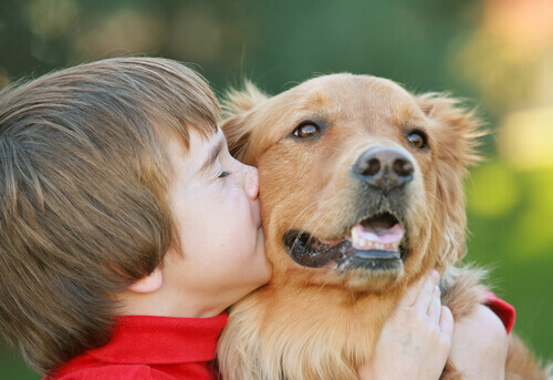 Criança beijando cão