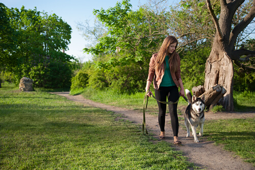 Dona passeando com cão