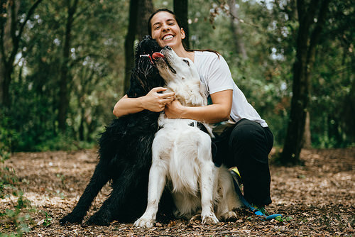 Seu cão pode te ajudar a combater a depressão