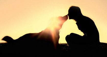 Aprenda a educar as emoções do seu cachorro