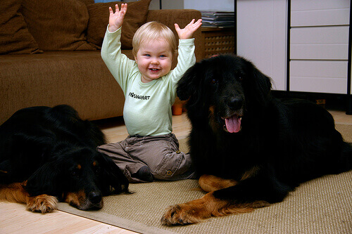 O amor pelos animais começa desde nossa infância