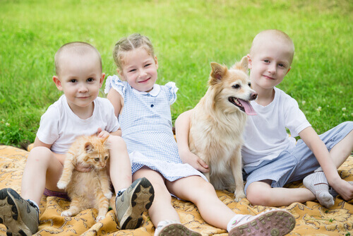 Gato, cachorro e crianças