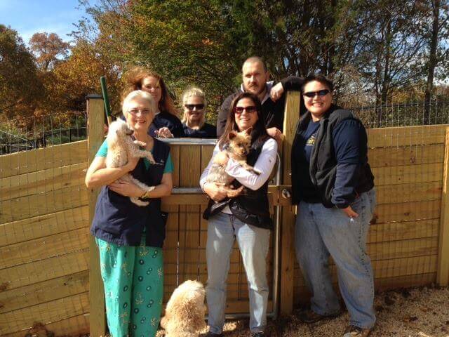 Voluntários com animais idosos