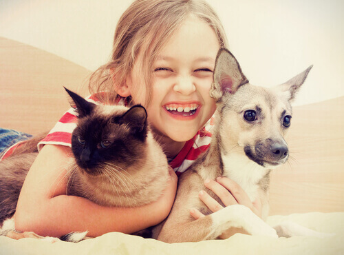 Criança abraçando gato e cachorro