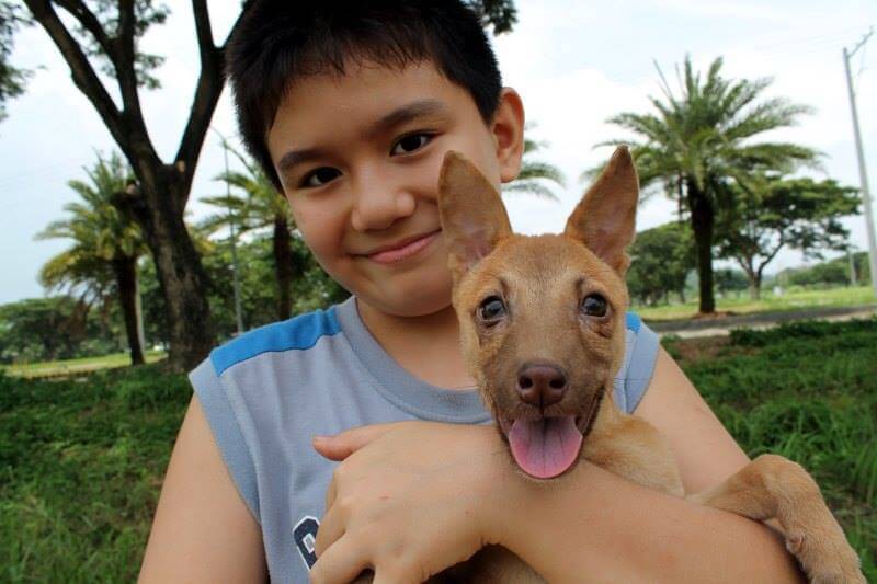 Menino com cachorro no colo