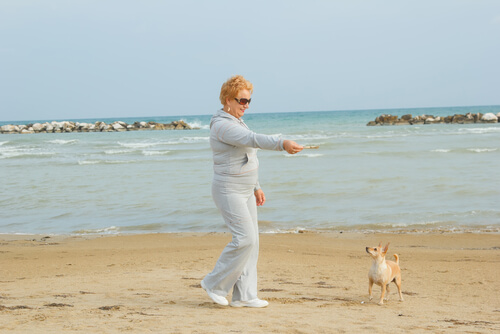 Mulher brincando com cachorro na praia