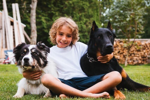 Crianças e cães: a cada idade uma responsabilidade