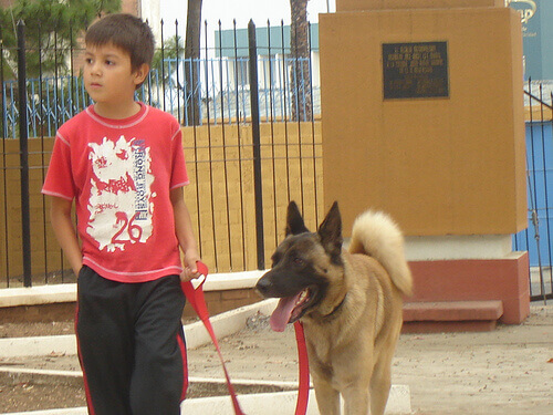 cão e criança