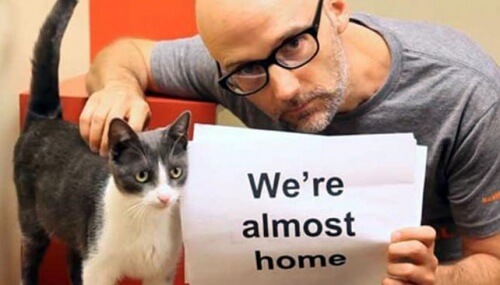 Músico Moby doará parte dos seus ingressos à organizações de proteção dos animais