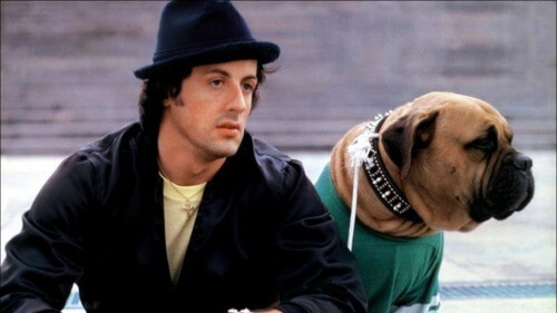 A triste história de Sylvester Stallone e seu cão Butkus