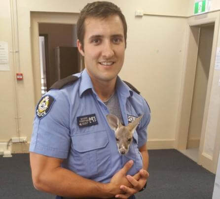 Policial com filhote de canguru